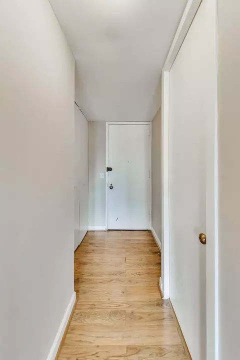 Entry Way - 1 E Scott St #1311, Chicago, IL 60610 photo 1 of 2