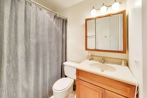 Bath - 1 E Scott St #1311, Chicago, IL 60610 photo 1 of 1