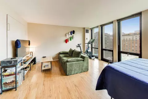 Living - 1 E Scott St #1311, Chicago, IL 60610 photo 1 of 1