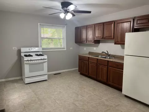 347 Tiverton Ln, Steger, IL 60475 photo 4