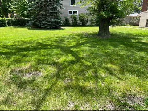 2121 E 72nd St, Chicago, IL 60649 photo 3