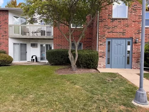 1341 Cunat Ct #2C, Lake In The Hills, IL 60156