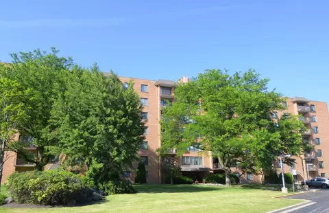 1747 W Crystal Ln #207, Mount Prospect, IL 60056