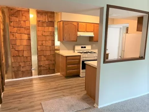 Kitchen - 157 Peter Ct #B, Bartlett, IL 60103 photo 1 of 3