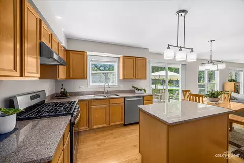 1133 Stonegate Ct, Bartlett, IL 60103 photo 8