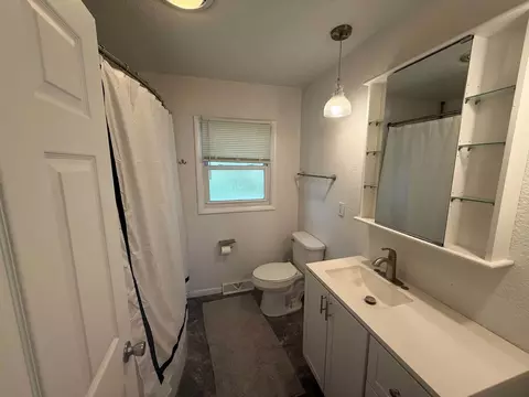 Bath - 206 S Park St, Alpha, IL 61413 photo 3 of 4