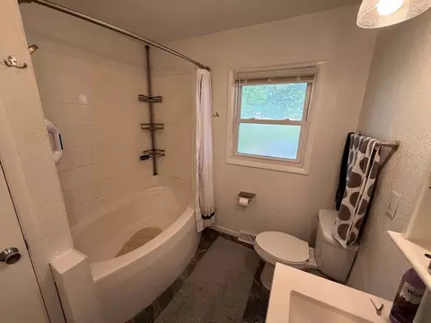 Bath - 206 S Park St, Alpha, IL 61413 photo 3 of 4