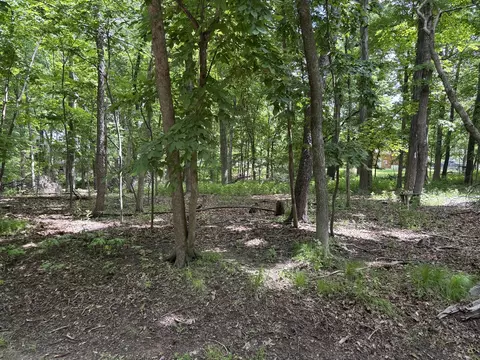 11011102 Jay Ct, Varna, IL 61375