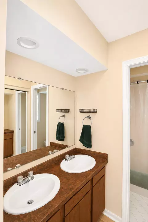 Bath - 1751 Taft Ave, Rolling Meadows, IL 60008 photo 3 of 6