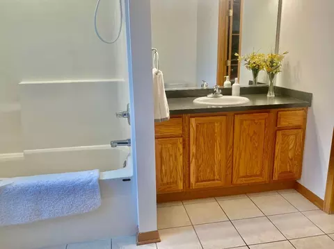 Bath - 1610 Rolling Pass, Beecher, IL 60401 photo 3 of 5