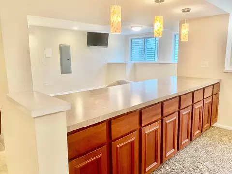 Other - 1610 Rolling Pass, Beecher, IL 60401 photo 2 of 10