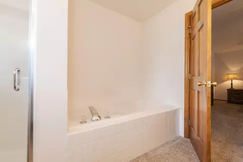 Bath - 1014 Sawgrass Dr, Normal, IL 61761 photo 3 of 4