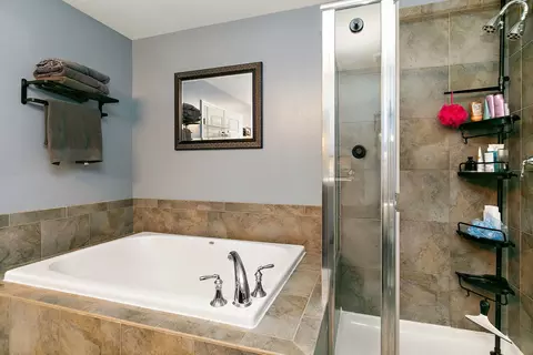 Bath - 1102 Pine Valley Ct, Elgin, IL 60124 photo 3 of 4