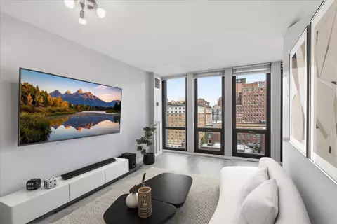 Living - 1 E Scott St #1412, Chicago, IL 60610 photo 3 of 4