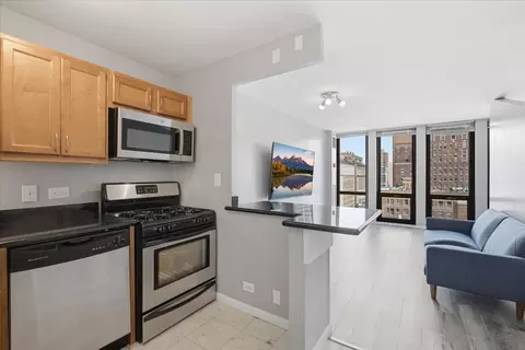 Kitchen - 1 E Scott St #1412, Chicago, IL 60610 photo 2 of 3