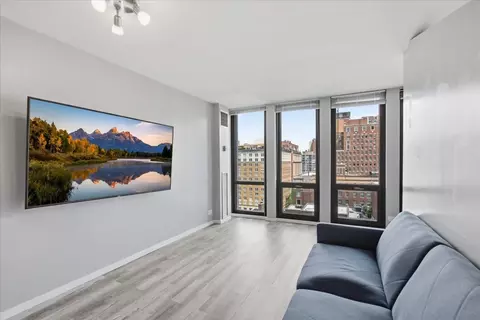 Living - 1 E Scott St #1412, Chicago, IL 60610 photo 2 of 4
