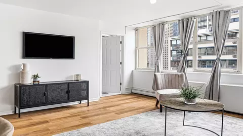 Living - 40 E Cedar St #18A, Chicago, IL 60611 photo 2 of 3