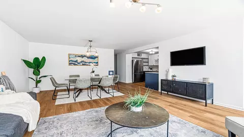 Other - 40 E Cedar St #18A, Chicago, IL 60611 photo 2 of 10