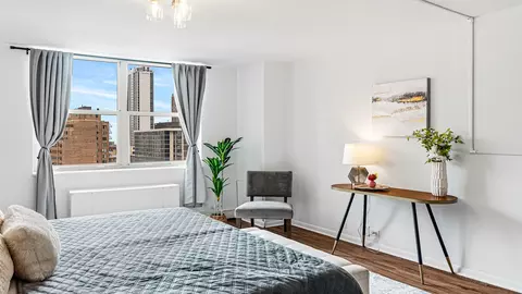 Other - 40 E Cedar St #18A, Chicago, IL 60611 photo 3 of 10