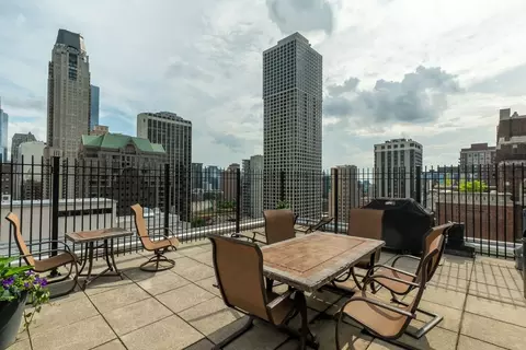 Other - 40 E Cedar St #18A, Chicago, IL 60611 photo 8 of 10