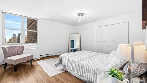 Other - 40 E Cedar St #18A, Chicago, IL 60611 photo 5 of 10