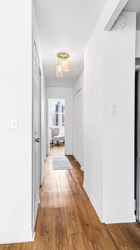 Entry Way - 40 E Cedar St #18A, Chicago, IL 60611 photo 1 of 1