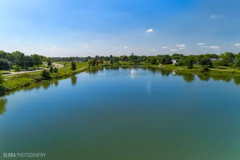 View/Area - 4491 Thornbark Dr, Hoffman Estates, IL 60192 photo 6 of 8