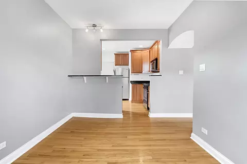 Living - 58 Forest Ave #2S, Riverside, IL 60546 photo 3 of 3