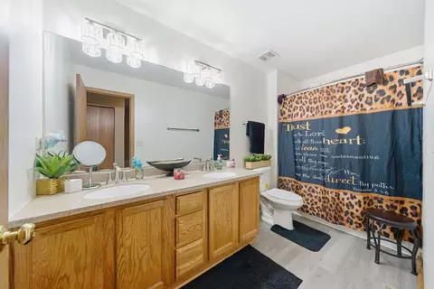 Bath - 1611 Lake Pointe Ct, Plainfield, IL 60586 photo 2 of 2