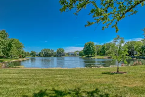 View/Area - 1337 Saddlebrook Rd, Bartlett, IL 60103 photo 2 of 6