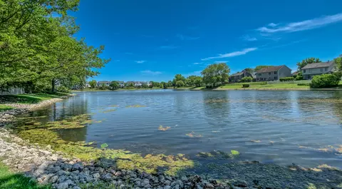 View/Area - 1337 Saddlebrook Rd, Bartlett, IL 60103 photo 1 of 6