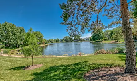 View/Area - 1337 Saddlebrook Rd, Bartlett, IL 60103 photo 3 of 6
