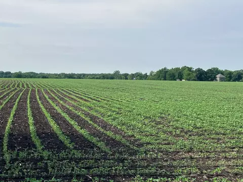 Other - 00 Kyte Rd, Rochelle, IL 61068 photo 7 of 12