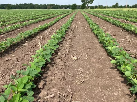 Other - 00 Kyte Rd, Rochelle, IL 61068 photo 6 of 12