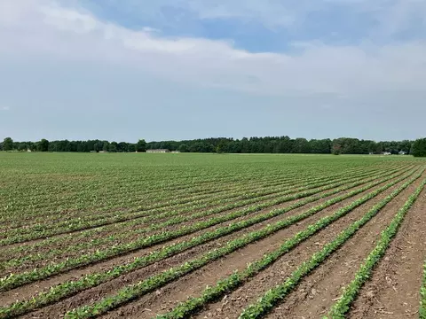 Other - 00 Kyte Rd, Rochelle, IL 61068 photo 5 of 12