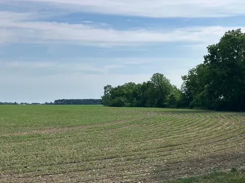 Other - 00 Kyte Rd, Rochelle, IL 61068 photo 11 of 12