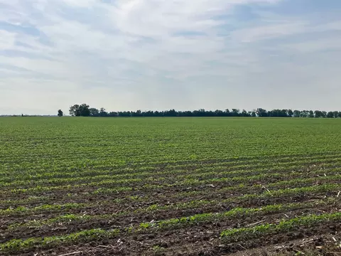 Other - 00 Kyte Rd, Rochelle, IL 61068 photo 12 of 12