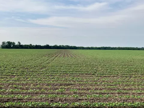 Other - 00 Kyte Rd, Rochelle, IL 61068 photo 3 of 12