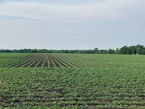 Other - 00 Kyte Rd, Rochelle, IL 61068 photo 8 of 12