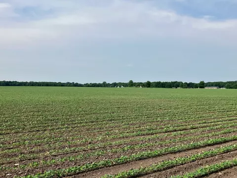 Other - 00 Kyte Rd, Rochelle, IL 61068 photo 4 of 12