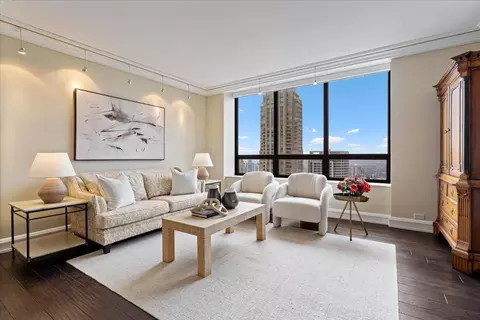 Living - 180 E Pearson St #4801, Chicago, IL 60611 photo 6 of 7