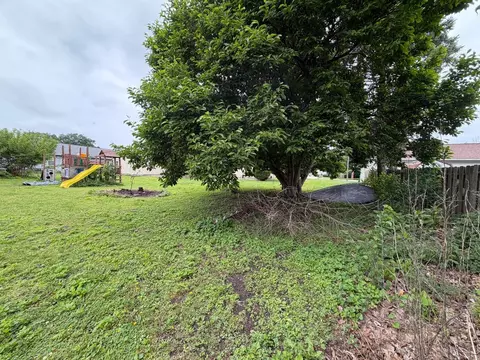 Exterior - 111 Orchard St, Catlin, IL 61817 photo 11 of 15