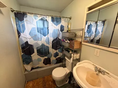 Bath - 111 Orchard St, Catlin, IL 61817 photo 1 of 4