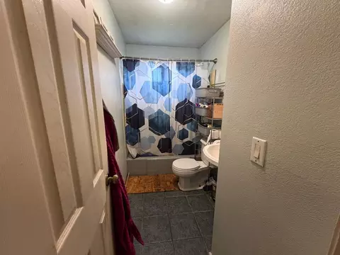 Bath - 111 Orchard St, Catlin, IL 61817 photo 4 of 4