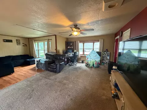 Living - 111 Orchard St, Catlin, IL 61817 photo 1 of 3