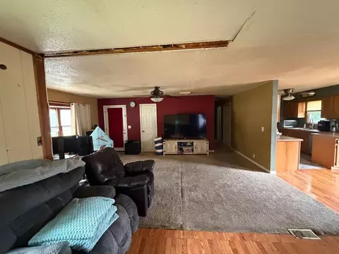 Living - 111 Orchard St, Catlin, IL 61817 photo 2 of 3