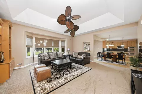 Living - 12758 Barrow Ln, Plainfield, IL 60585 photo 3 of 4