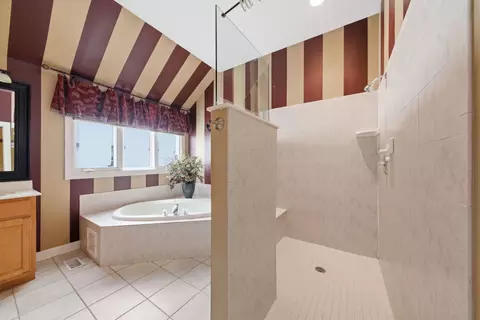 Bath - 12758 Barrow Ln, Plainfield, IL 60585 photo 3 of 4