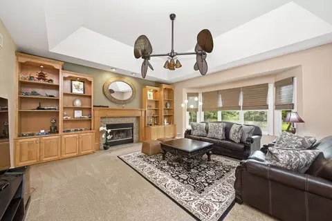 Living - 12758 Barrow Ln, Plainfield, IL 60585 photo 4 of 4