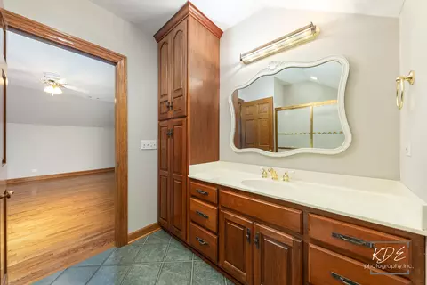 Bath - 22625 Marina Dr, Plainfield, IL 60585 photo 12 of 14
